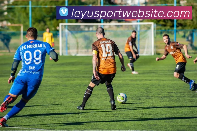 乐鱼体育品牌故事